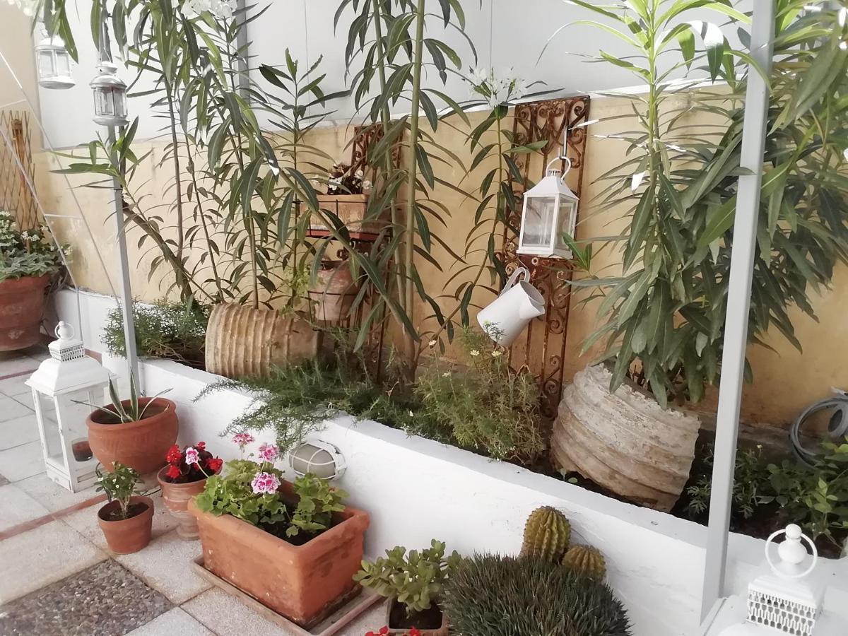 Amazing Semi-Basement Art Apartment Easy Walk To Nafplio Centre מראה חיצוני תמונה